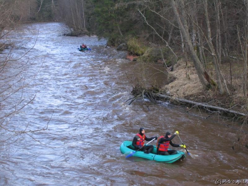 amata-2004-2-14.jpg
