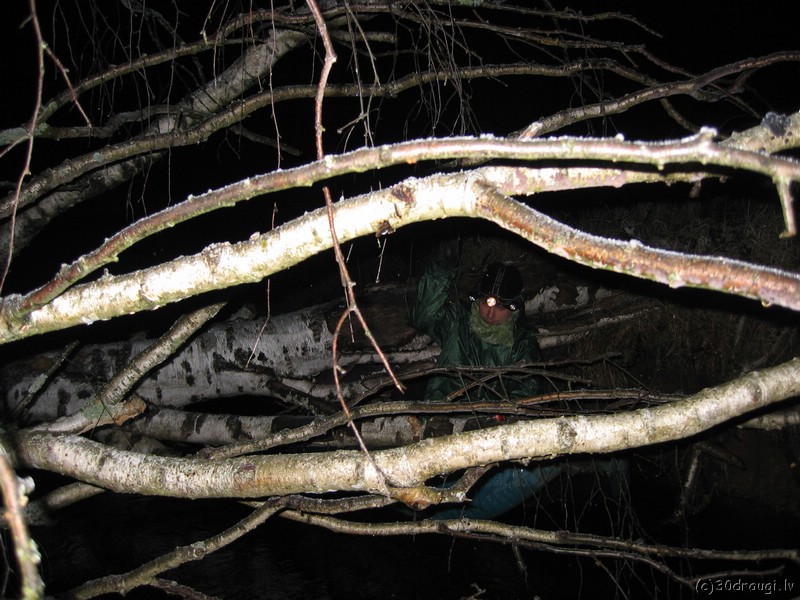 maicamais_gabals_200753.jpg