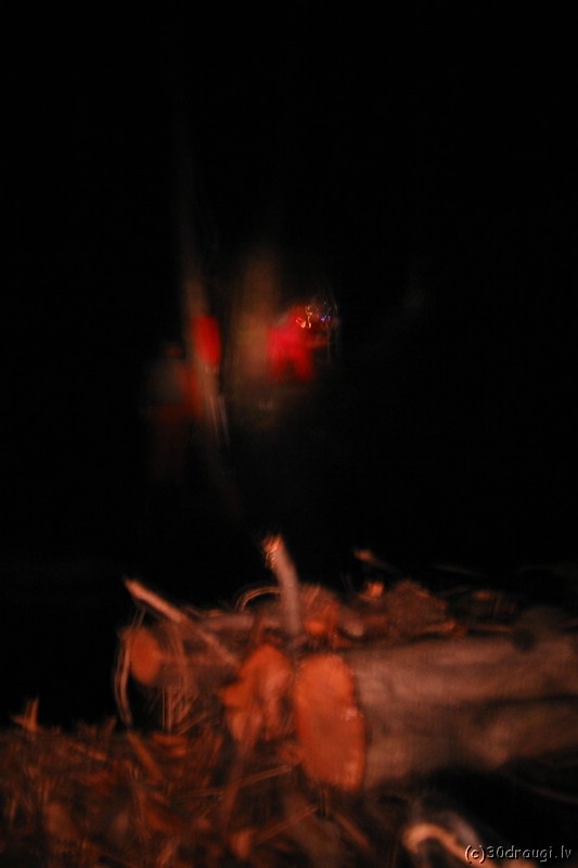 vitrupe-IMG_1477.jpg