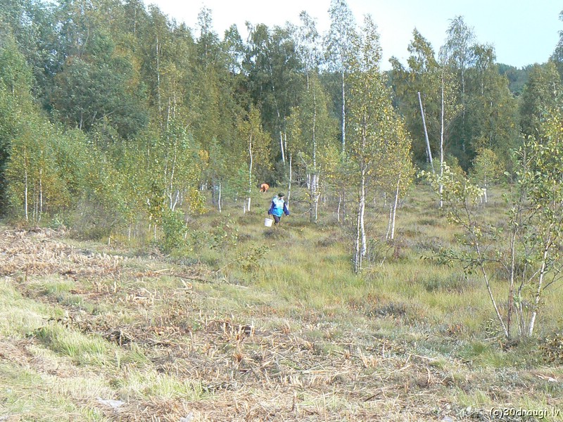 pk200788.jpg